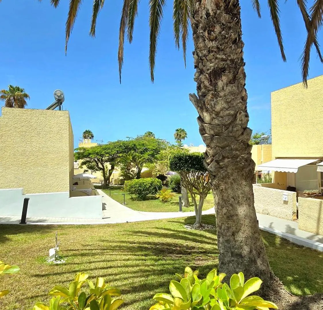 Apartment Dream Holiday Las Americas Playa de las Americas  Spain